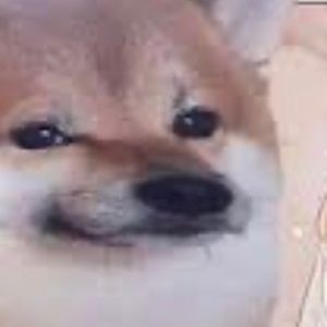 Meet your Posher, Arturo